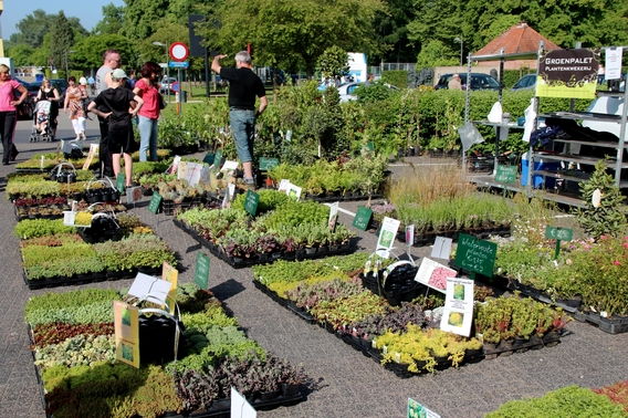 2015-05-18_bloemenmarkt_014-_jda