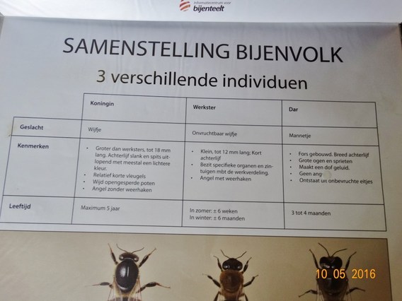 Opendeur_frans_v_d_bosch_22_mei___19_