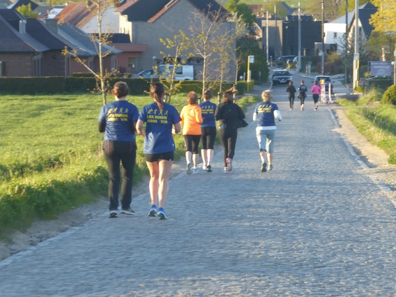 P1000412_50p