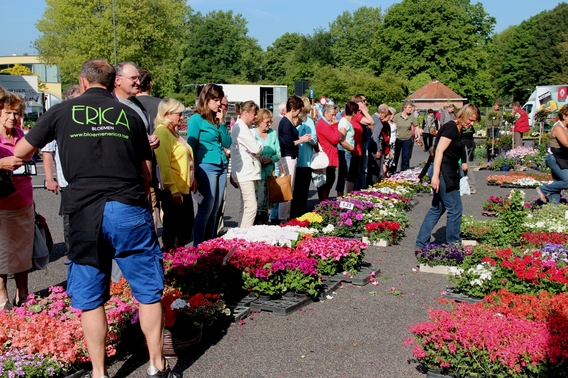 2016-05-15_bloemen___biomarkt__1_a