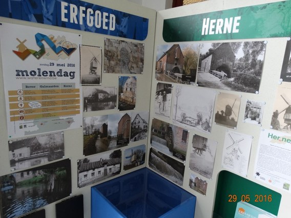 Molendag_bever-herne_2016__15_