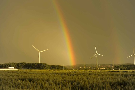 Regenboog_3