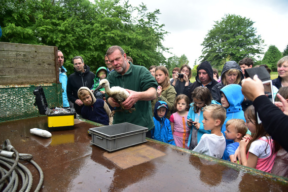 Editiepajot_jimmy_godaert_natuurpunt_boven_____dender_hield_ooievaarsbabyborrel