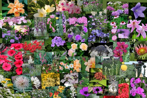 Opentuinpots_1-2016_07_16_ge__xporteerde_foto_s_1