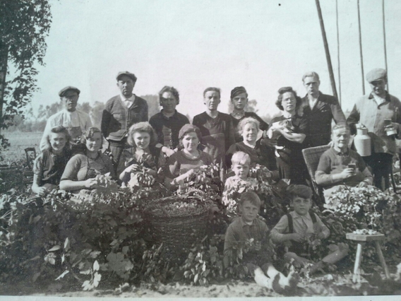 Hoppluksters1943defeyter