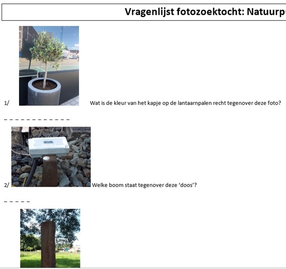 Vragenlijstprintscreen