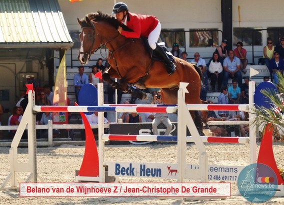 Belano_van_de_wijnhoeve_z___2_