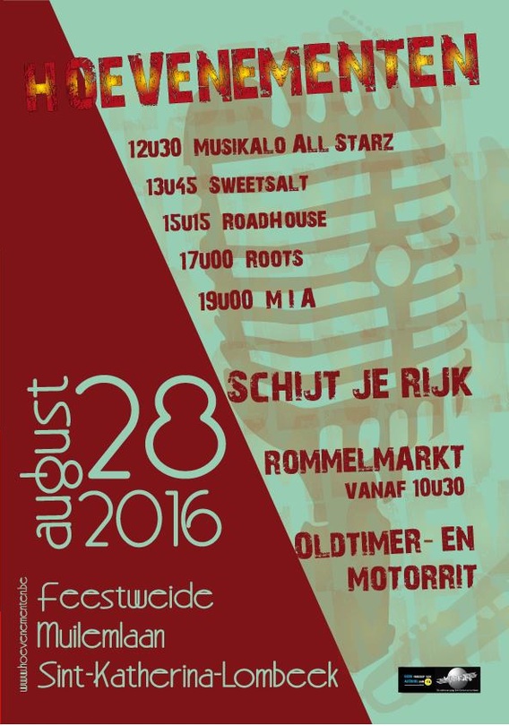 Affichehoevenementen2016