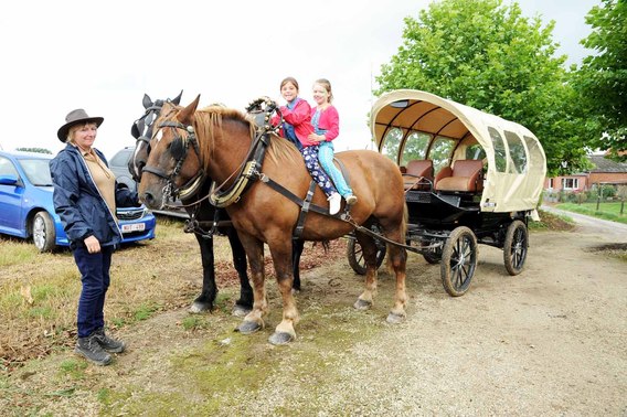 Hoeve_2
