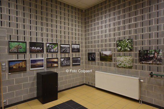 Editiepajot_bever_salon_1__kopie_