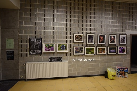Editiepajot_bever_salon_2__kopie_