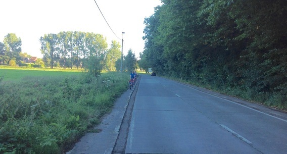 Suisvijverstraatnaborstelknip