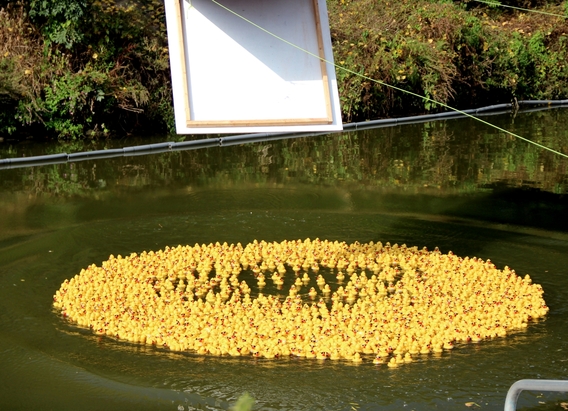 2016-09-18_vierde__duck_race__14_a