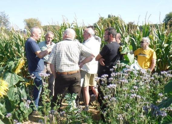 Akkervogelvoorstelling_sept_2016__9_a