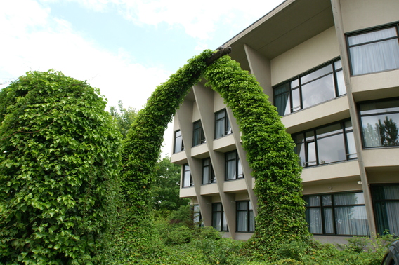 Editiepajot_beersel