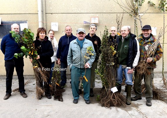 Editiepajot_galmaarden_de_mark_plant__kopie_