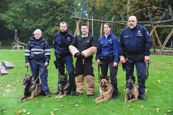 Honden_zennevallei_1