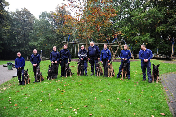 Honden_2