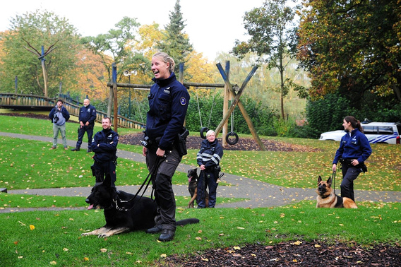 Honden_3