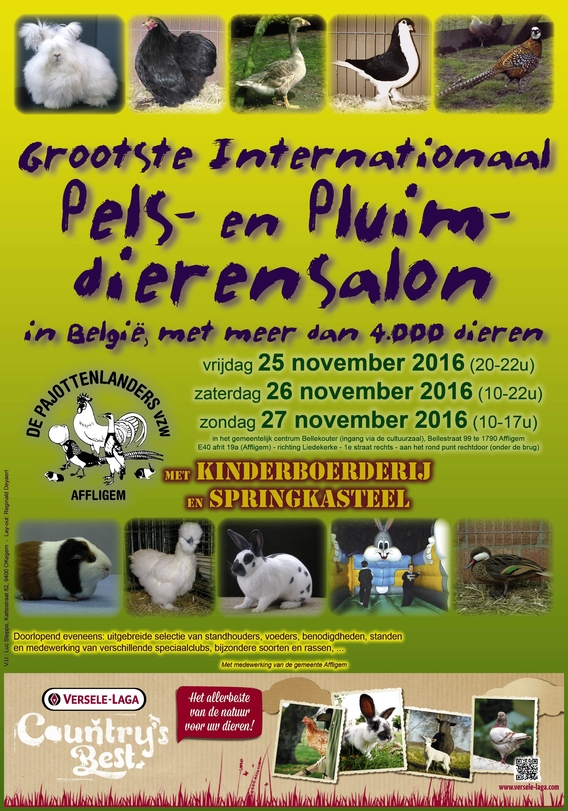 Puimvee_salon_affligem