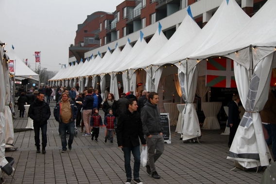 2016-18-12_kerstsfeer_in_de_ninoofse_binnenstad__6_
