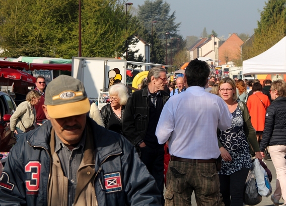 2017-04-09_den_bos_feest__rommelmarkt__49_a