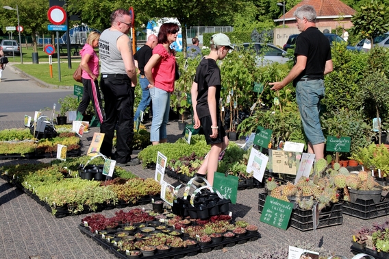 2016-05-15_bloemen___biomarkt__7_a