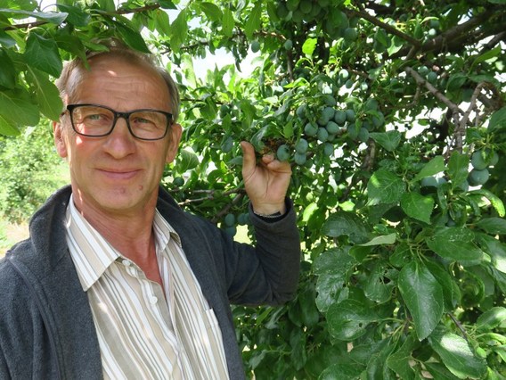 Frans_vdb__8_