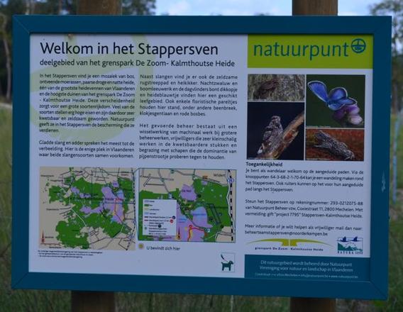 2017-kalmthout_-_de_kalmthoutse_heide_-_stappersven_