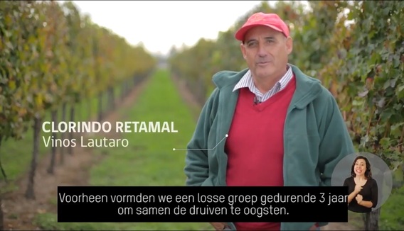 Vinos_lautaro