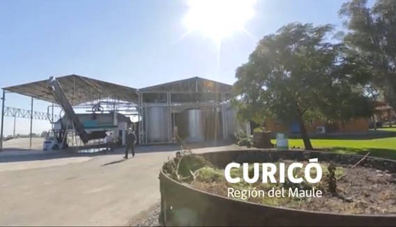 Curico