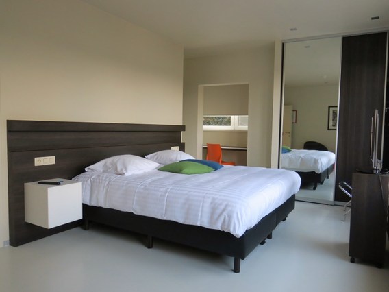 Le_vieux_c__dre__7_