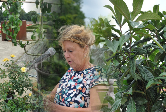 Tuin_1