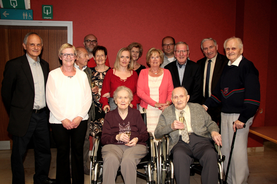Liedekerke_platina_de_leeuw_g_
