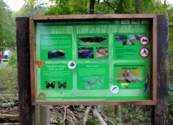 2017-10-10_toegankelijk_palitsebeek__59_a