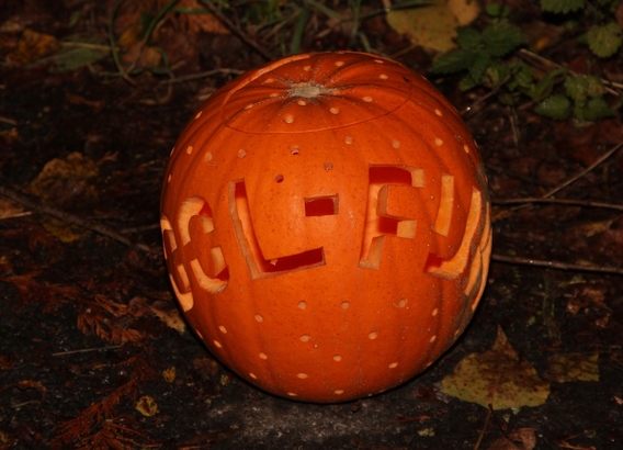 2017-10-20_7e_halloweentocht__33_a
