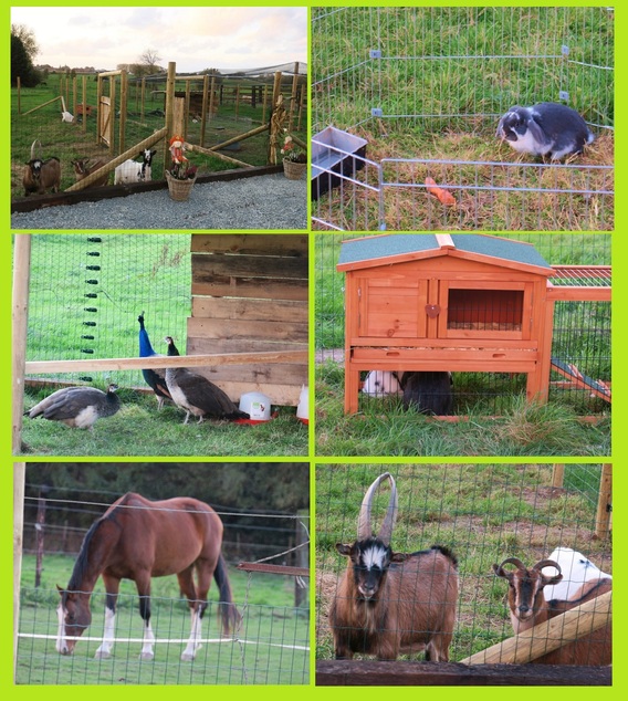Bever_hof_gr