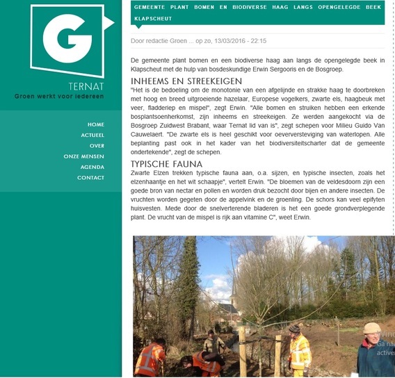 Enquetesgroenscreenshot