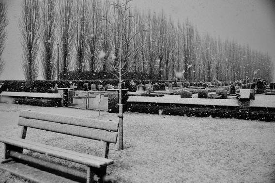 Sneeuw_1