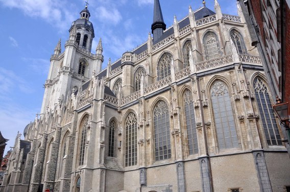 Editiepajot_halle