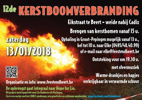 Verbranding_beert