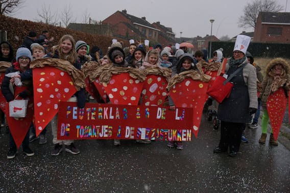 Carnaval_bever_2018__15_