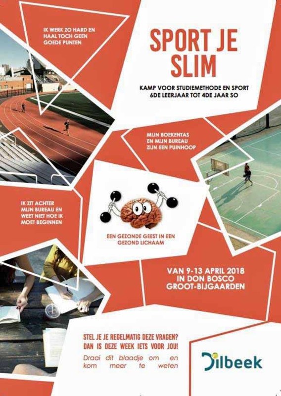Dilbeek_sport