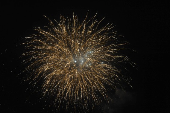 Dsc_1993__large_