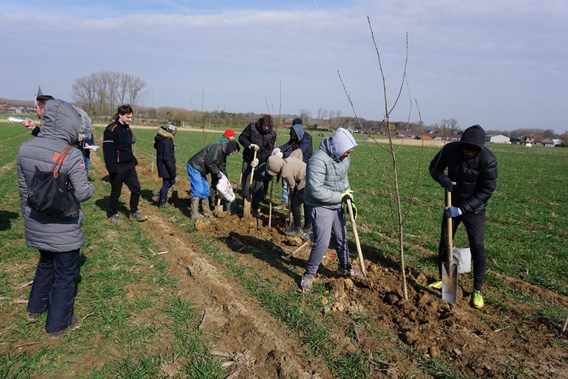 1_agroforestry_2018____2_