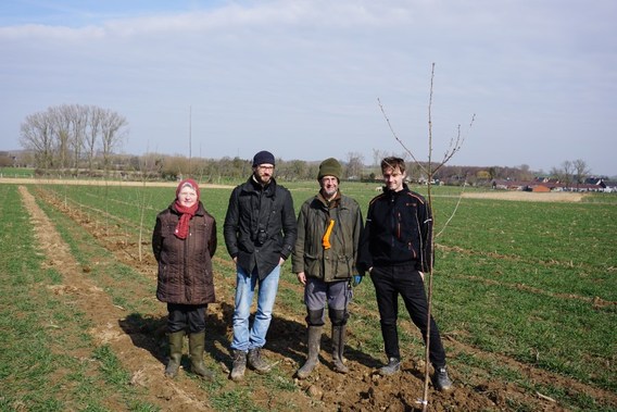 Agroforestry_2018____4_