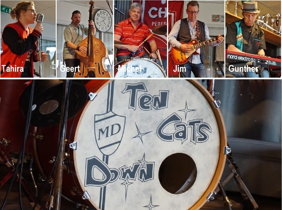 Ten_cats_down__1