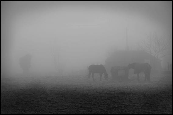 Gewonnen_foto_bek__