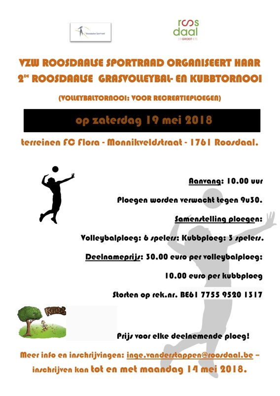 Roosdaalse_grasvolleybal_en_kubbtornooi__003_