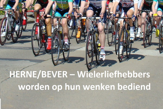 Herne_bever_____wielerliefhebbers_worden_op_hun_wenken_bediend